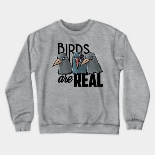 Birds Are Real - Black Crewneck Sweatshirt